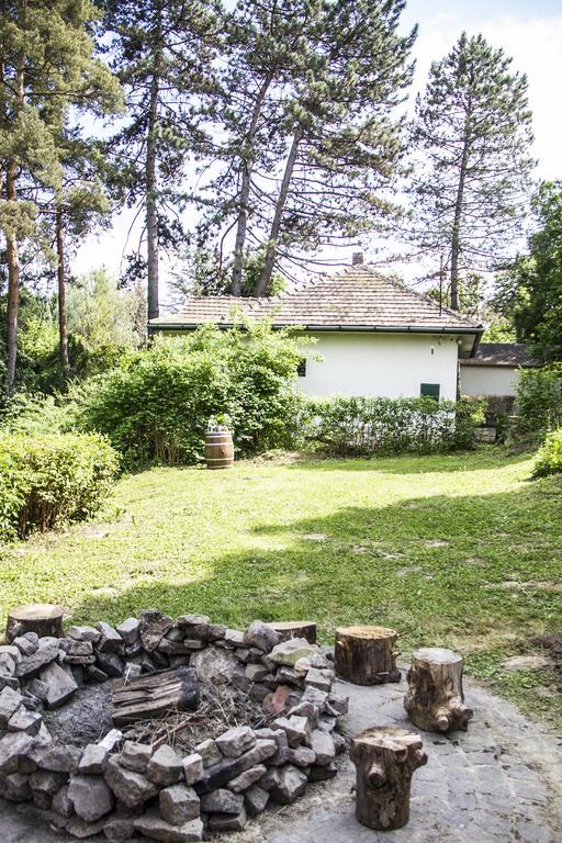 Teraszhaz Zebegeny Villa Exterior photo